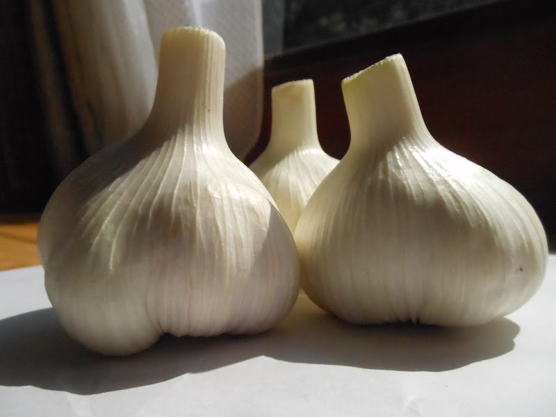 ほたるこうや農園