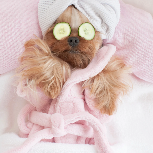 Roberta Rose Massage