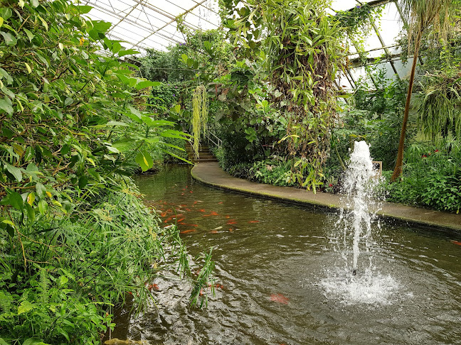Roath Park