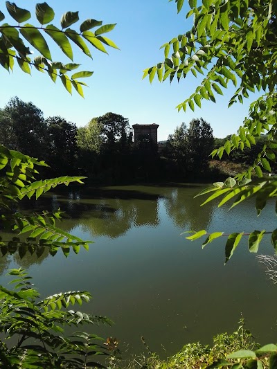 Picnic bridge