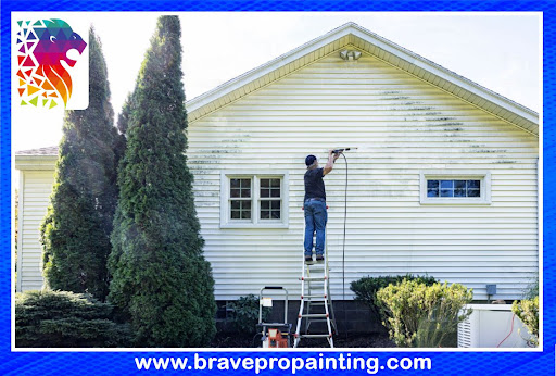 BravePro Painting - Thumbnail