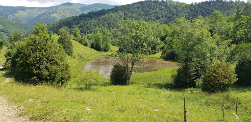 Estany d'en Roca - Thumbnail