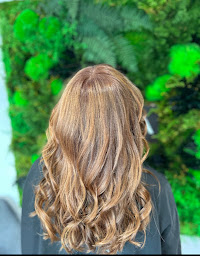 Photo n°1 de Excel Coiffure à Pollestres (Salon de coiffure)