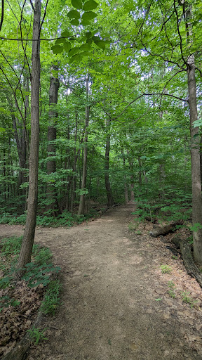Quickstad Park - Visual