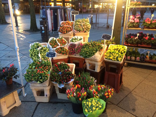 Blumenhandel - Visual
