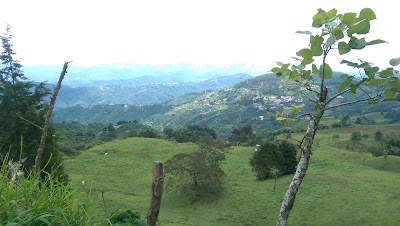 Photos of Planta procesadora de caf&eacute;