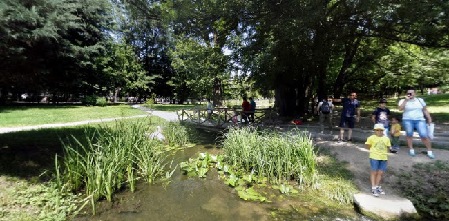 Parcul "Nicolae Romanescu" - Cinema