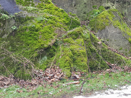 FC Alsbach e.V. - Visual
