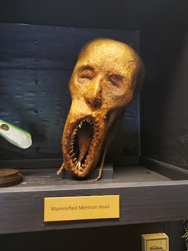 Abby Normal’s Museum of the Strange - United States