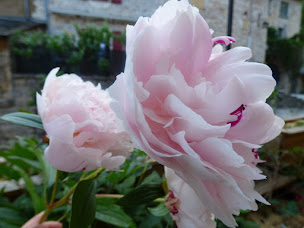 Photo n°18 de Barbier la Jasse à Gorges du Tarn Causses (Chambre d'hôtes)