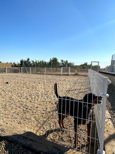 Hotel para perros Hotel Canino y Felino Vetoven | Residencia Canina