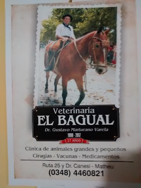 Veterinaria - El Bagual, Author: Glen C