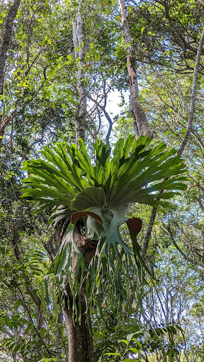 Iluka Nature Reserve - Thumbnail