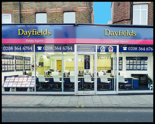 Dayfields - Visual