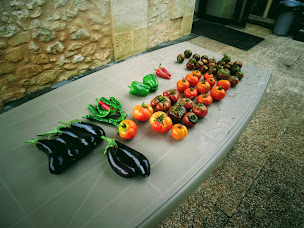 Photo n°40 de Aire naturelle de camping Les Grands Chênes et les Ajoncs (Proche Hourtin, plages, océan - Médoc, Gironde) à Naujac-sur-Mer (Terrain de camping)