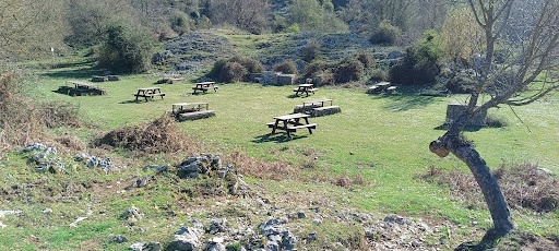 Area Picnic - Barbecue BBQ - Thumbnail