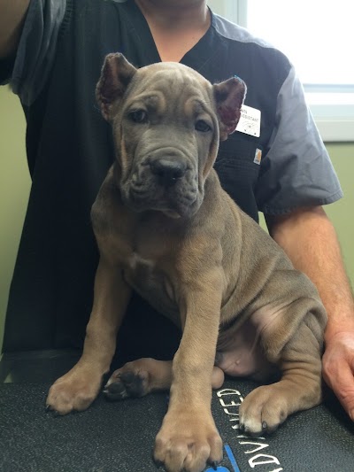 Photos of Aquadale Veterinary Clinic