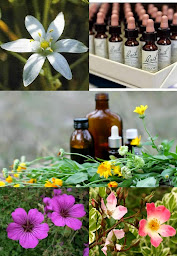 Photo n°9 de Laurent Martin à Maxéville (Service de santé mentale)