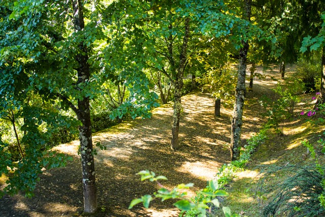 Vila Real Camping