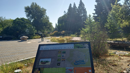 Elk Grove Rain Garden Plaza - Thumbnail