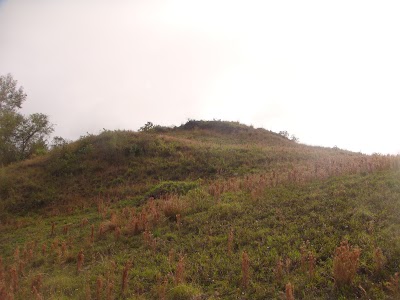 Photos of Llaver