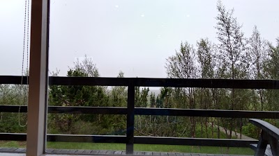 Photos of Icestay Cabins