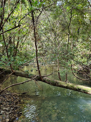 Eves Valley Scenic Reserve