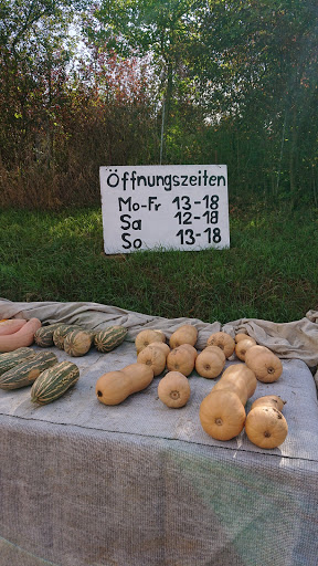 Kürbisfarm
