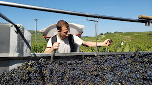 Photo n°14 de CFPPA Mâcon-Davayé - Viti Cap Formations à Davayé (Centre de formation continue)