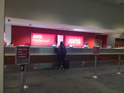 Avis Car Rental