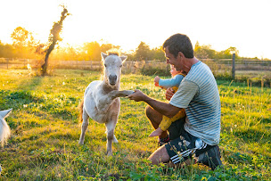 Photo n°10 de Association Terres d'Emeraude, sanctuaire naturel à Saint-Lizier (Centre de bien-être)