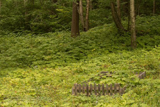 Quesnel Forks Cemetery Gallery - Canada