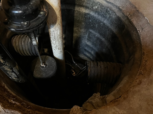 post-image-2