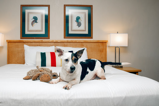 Timbers Motel - Thumbnail