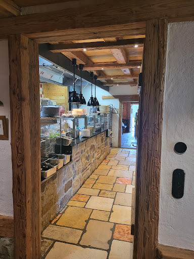 Saurüsselalm - Visual