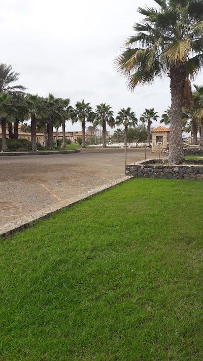Photos of The pier santa maria