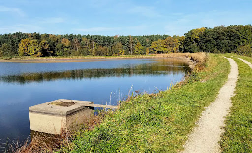 Wellesweiher - Visual