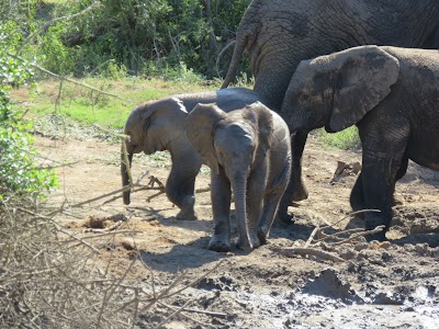 Photos of Hopewell Private Game Reserve