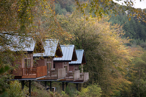 Forest Holidays Deerpark