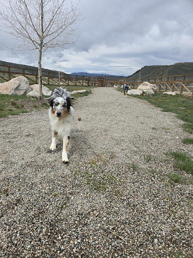 Maryland Creek Dog Park - Thumbnail