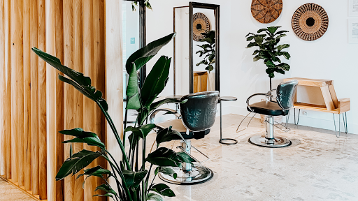 Bowhead Salon - Visual