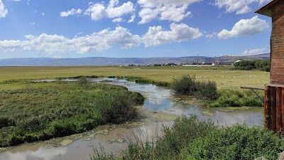 Ardahan Merkez