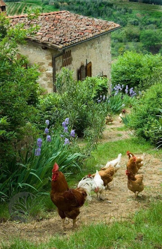 Chez Virginie - Thumbnail