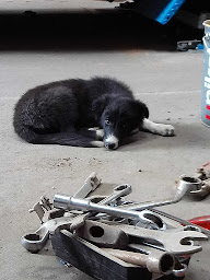 Photo n°9 de Neuvy Mécanique à Neuvy-Bouin (Vendeur de voitures d'occasion)