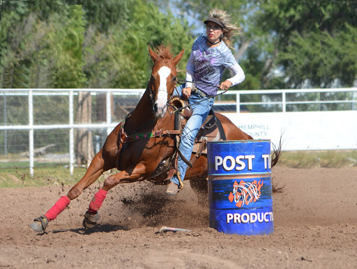 Devers Performance Horses - Visual