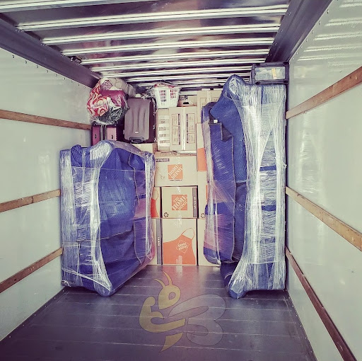 Bee Ready Movers - Visual