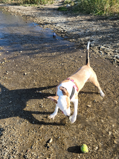 Draper Dayland Dog Park - Thumbnail