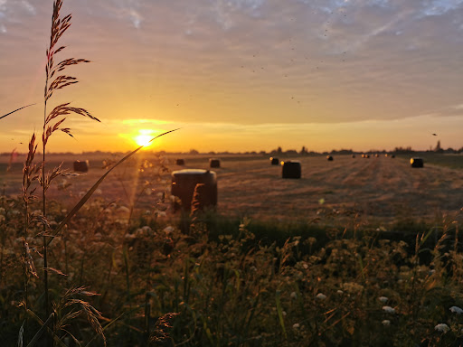 Molenaarsgraaf, Dorp - Thumbnail