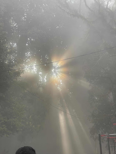 Watching the sunset in Darjeeling feels like nature slowly painting the sky in front of you. As t… post image