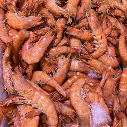 Photo n°25 de E.Leclerc LE CANNET ROCHEVILLE à Le Cannet (Magasin d'alimentation bio)